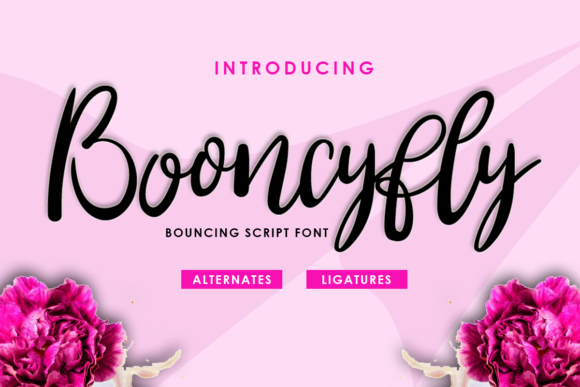 Booncyfly: Elegant Handwritten Font