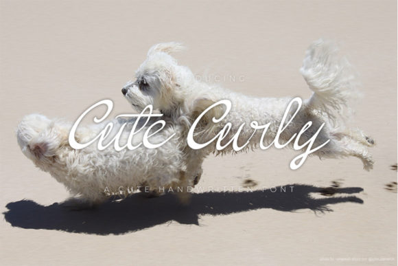 Cute Curly Font Review
