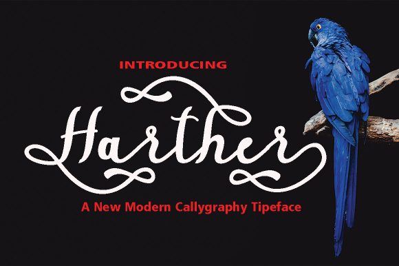Harther: A Whimsical Font for Digital Marketing