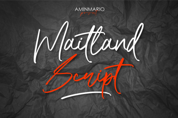 Maitland: A Beautiful Font for Business