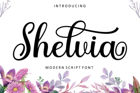 Shelvia: A Flowing Script Font