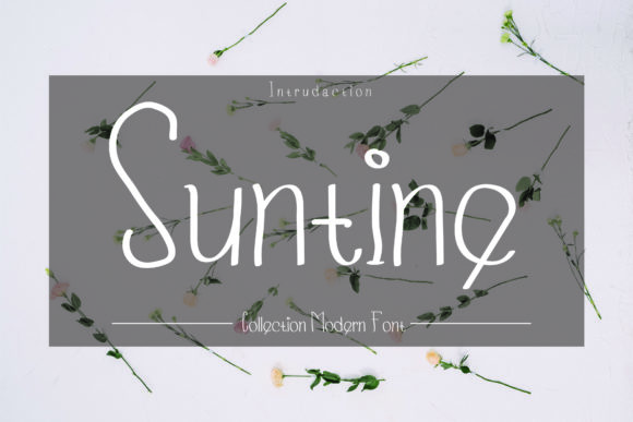 Suntine: A Handwritten Font for Creative Campaigns